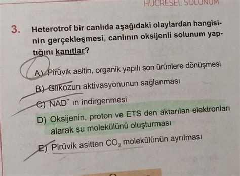  Acytostelium! Bir Hücresel Tek Başına Dünyanın İhtiyaçlarını Nasıl Karşılar?