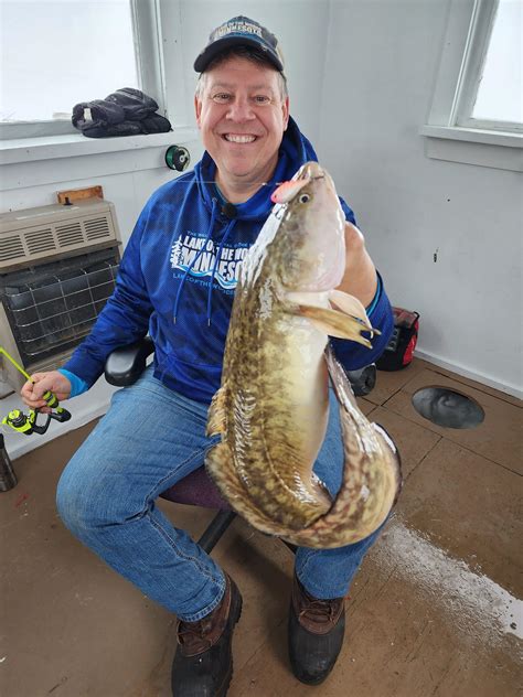  Eelpout! This Ancient Fish With Glowing Eyes Inhabits the Deepest Corners of Our Oceans