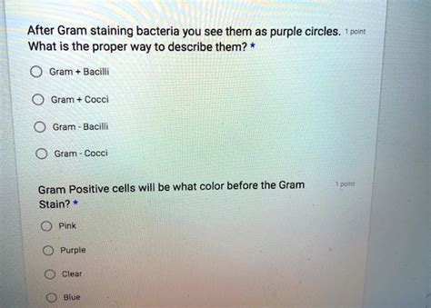  Filmibacillus! Üzgünüm, Ama Filmibacılıları Tanıdığınızda Onları Daha Çabuk Sevmeye Başlayacaksınız