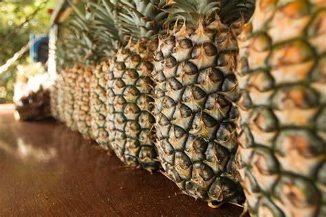 How to Sell a Car in Hawaii: When Pineapples and Palm Trees Influence Your Buyer's Decision